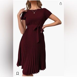 Medium Verdusa Pleated Dress